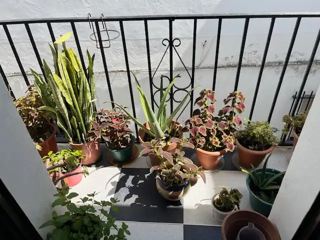 Terraza de Casa adosada en venta en Vejer de la Frontera con Terraza, Amueblado y Balcón
