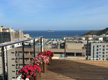 Penthouse with pool for sale in Calle Gregal