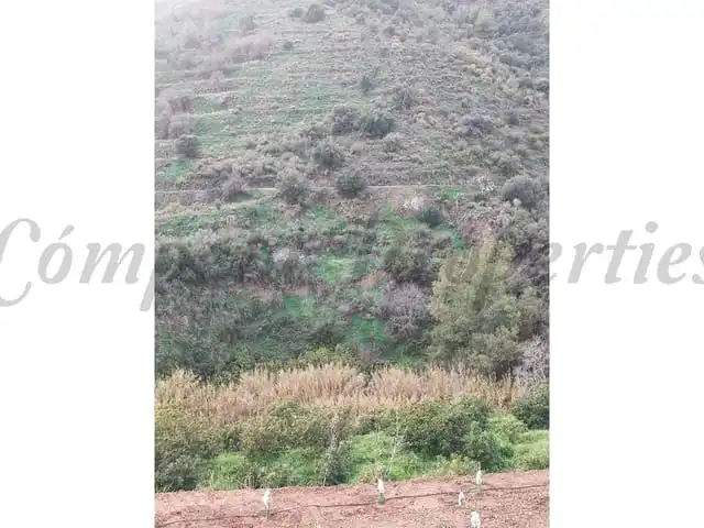 Terreni e lotti in vendita a Torrox Pueblo, imagen 4