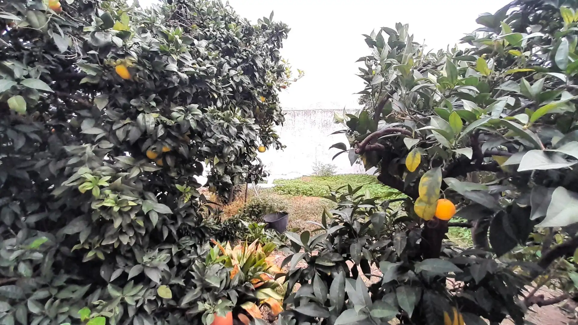 Haus mit Garten zum Verkauf in La Laguna, imagen 2