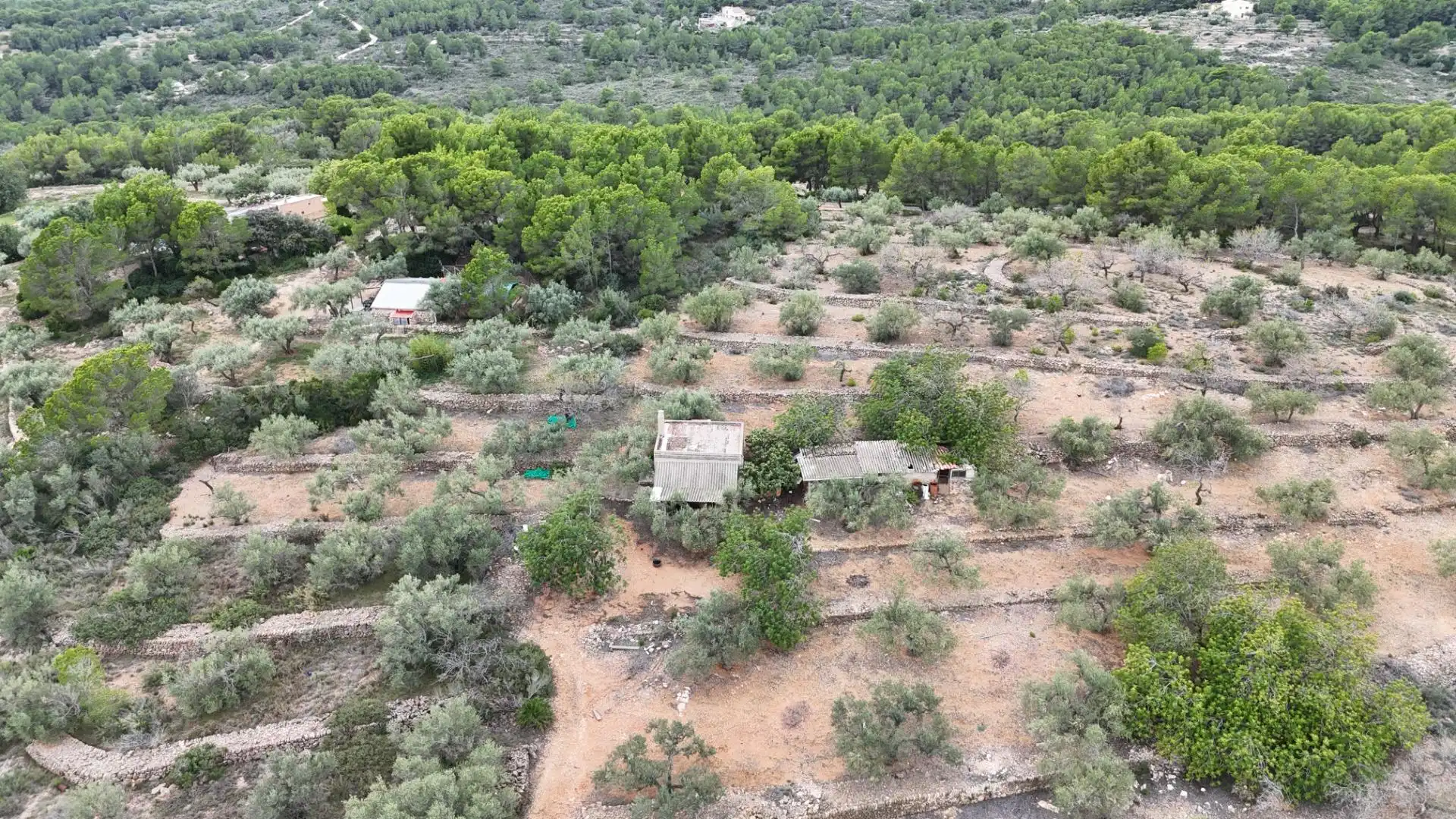 Casa rústica en venta en El Perelló, imagen 3