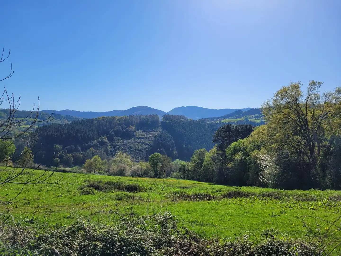 Grundstücke zum Verkauf in Karrantza Harana / Valle de Carranza
