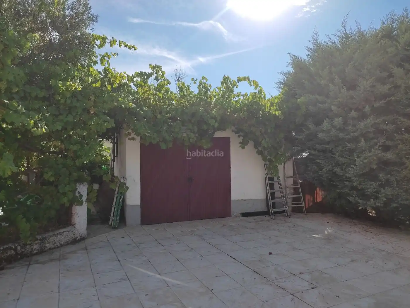 Villa con giardino in vendita a Calle Daoiz y Velarde 130, imagen 17