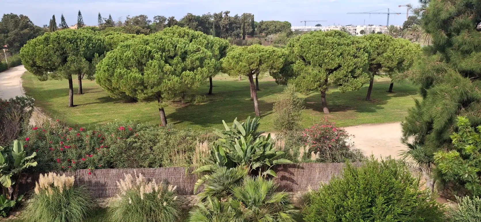 Casa a schiera con piscina in vendita a Calle Orquídea 6, imagen 44