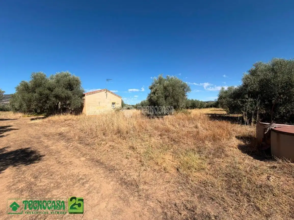 Houses for sale in Piedrabuena