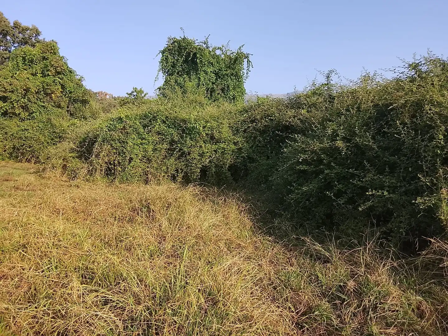 Terreni e lotti in vendita a Villanueva de la Vera, imagen 5