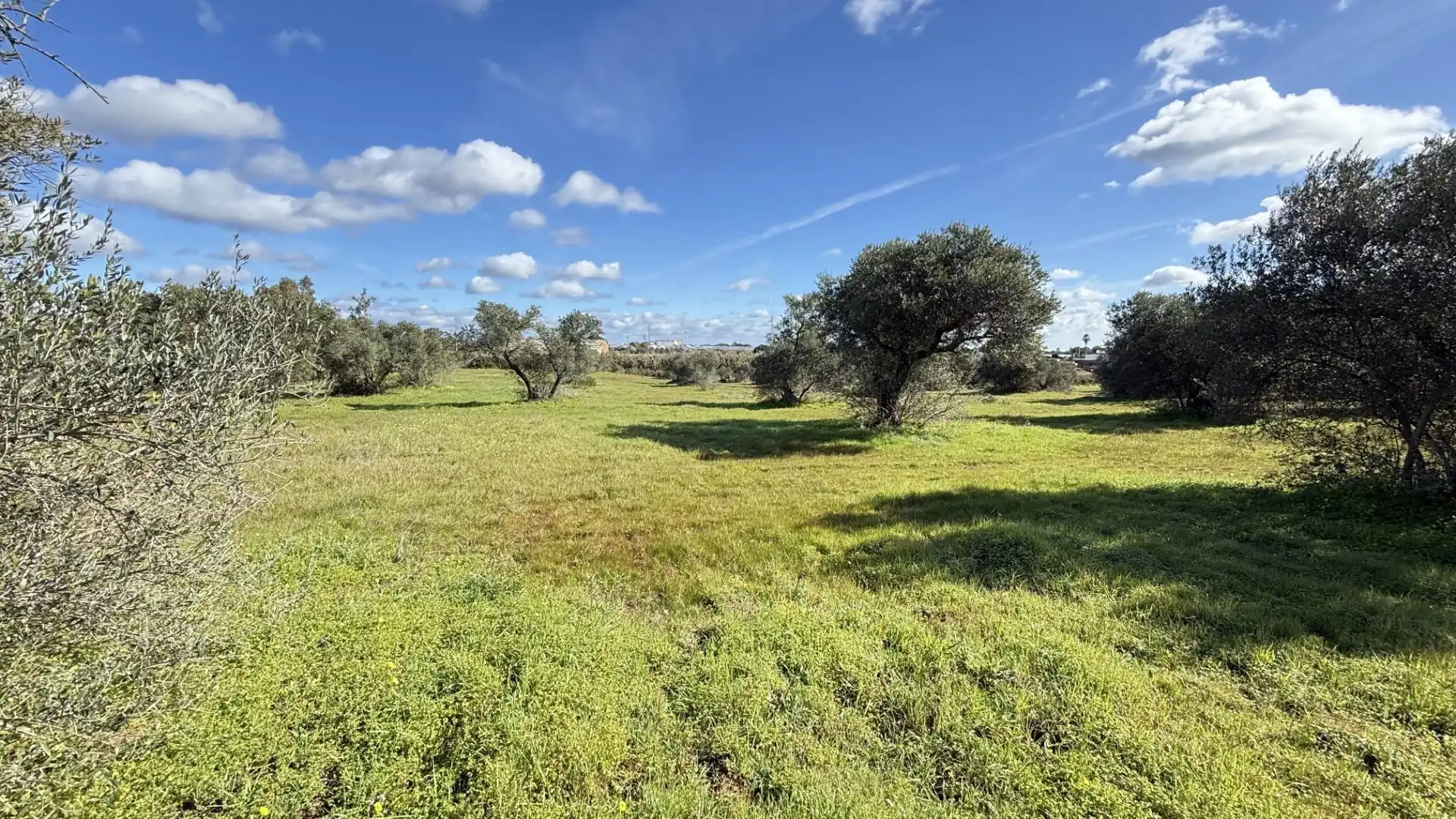 Country homes for sale in Gibraleón