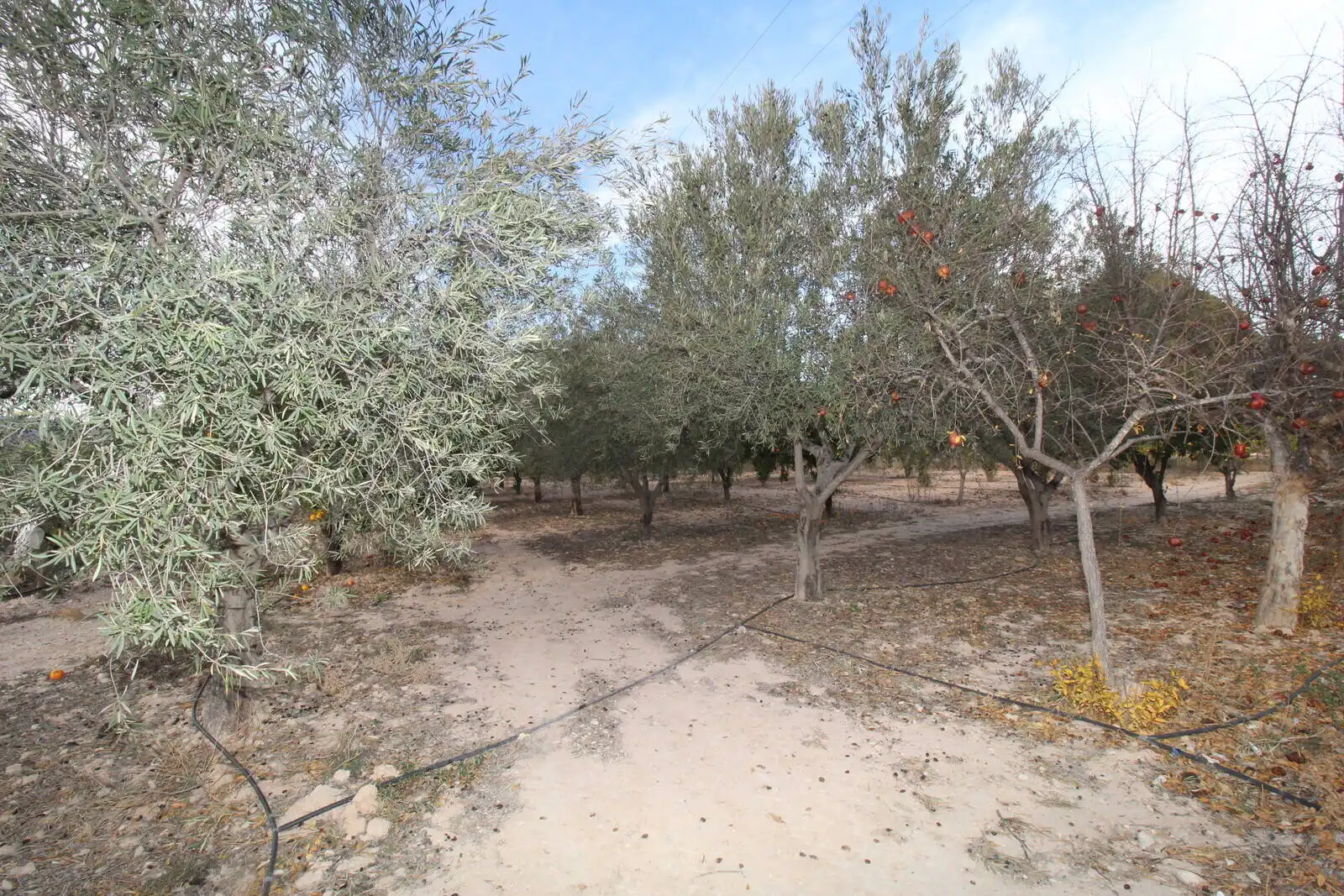 Casa amb terrassa en venda a Campo Alto - Club de Campo, imagen 19