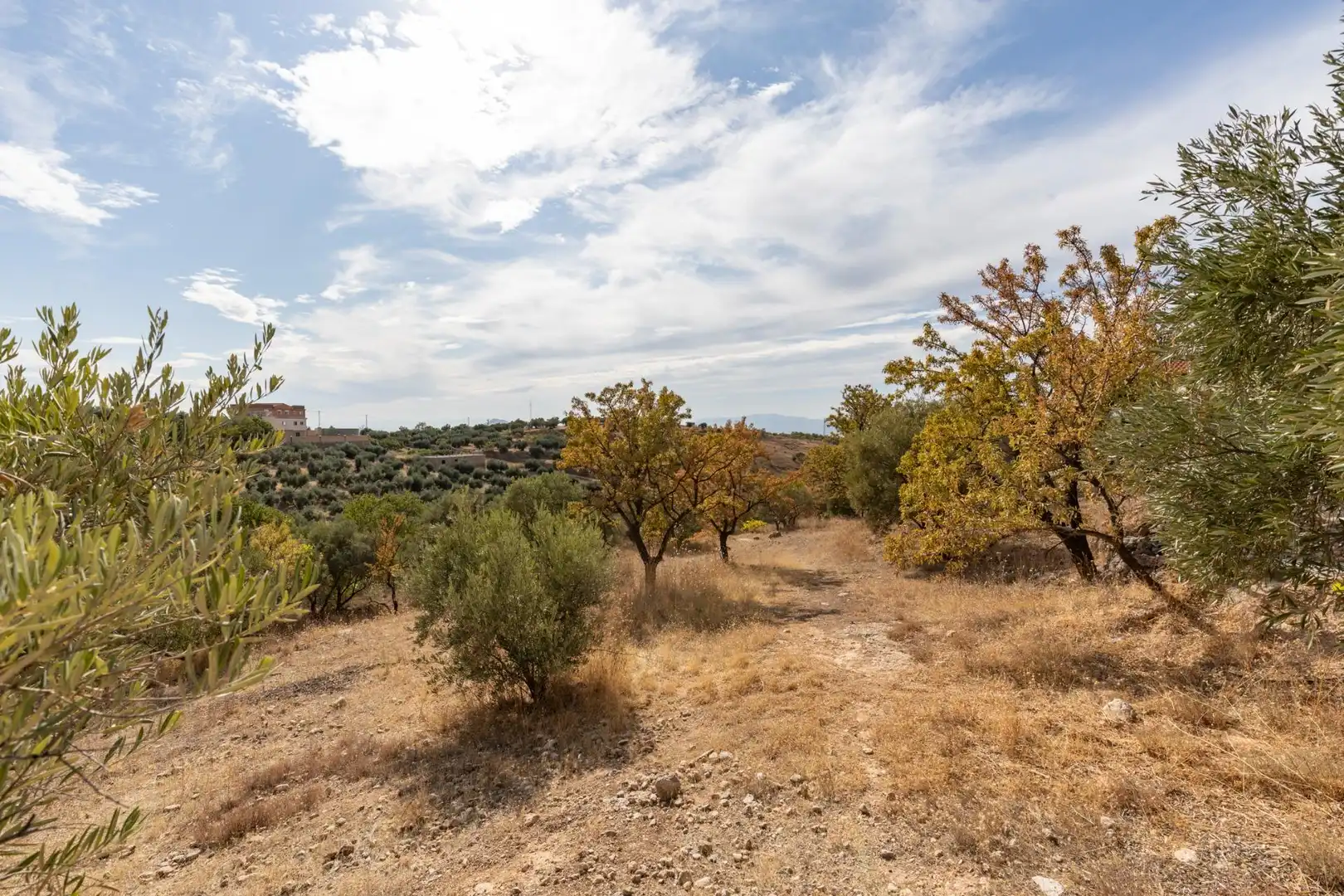 Finca rústica en venta en Cogollos de la Vega con Jardín privado y Piscina