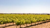 Finca rústica en venda en Vilafranca del Penedès amb Aire condicionat i Piscina