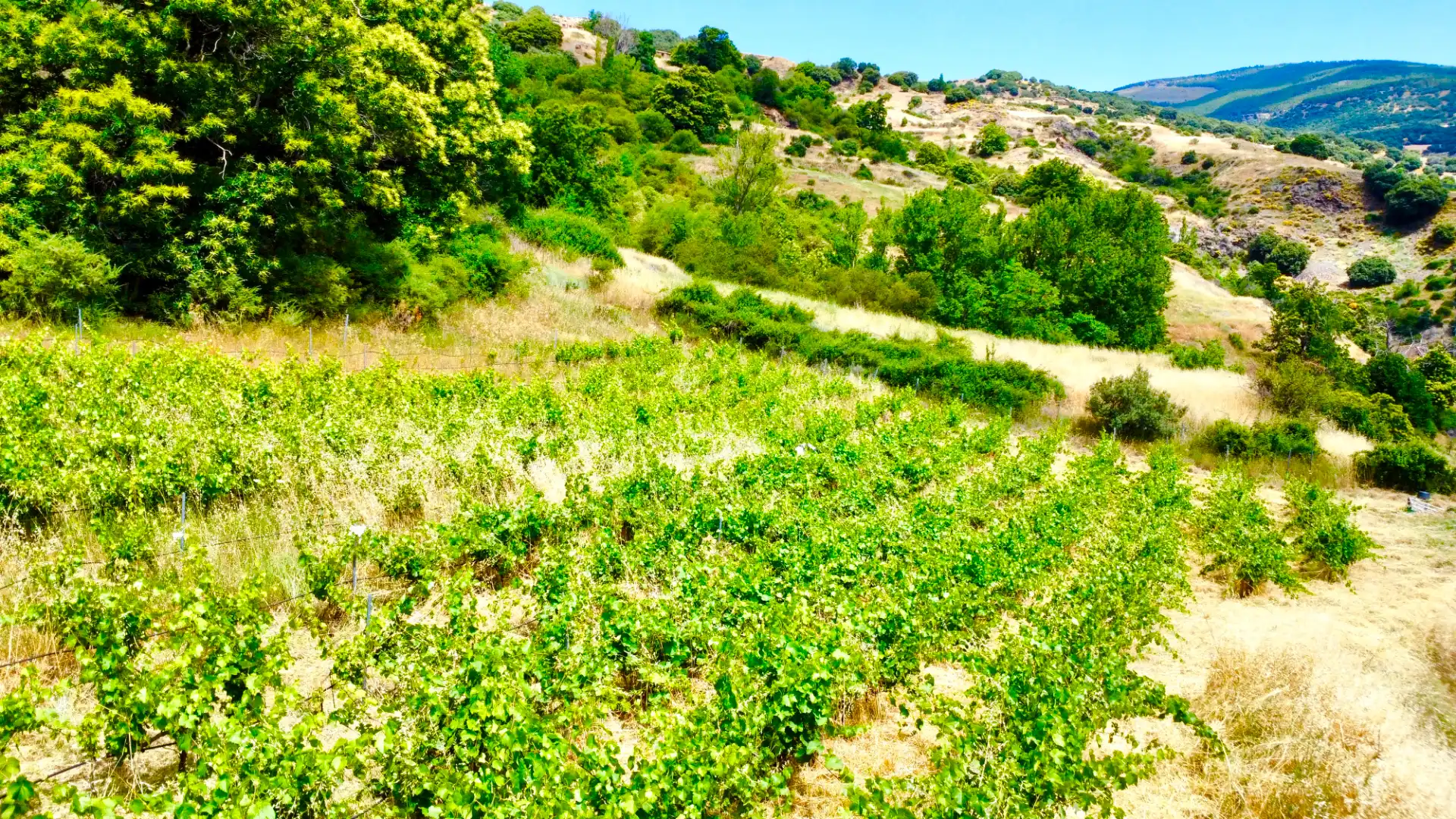 Terreni e lotti in vendita a Alpujarra de la Sierra, imagen 26