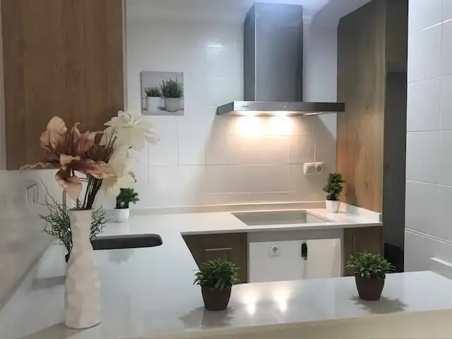 Wohnungen zur Miete in Calle San Pascual, 243, Avenida Habaneras - Curva de Palangre