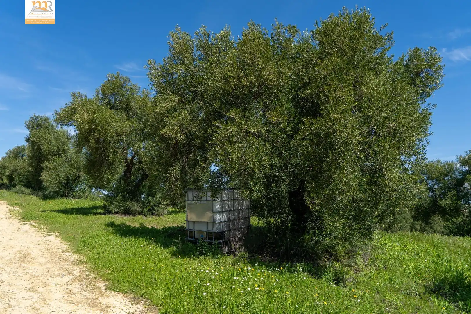Finca rústica en venta en Prado del Rey