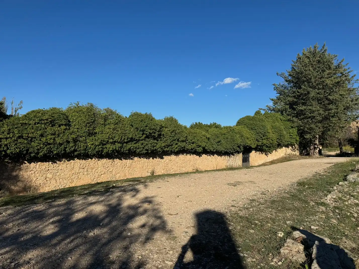Rural land for sale in Zn Diseminats 8, imagen 2
