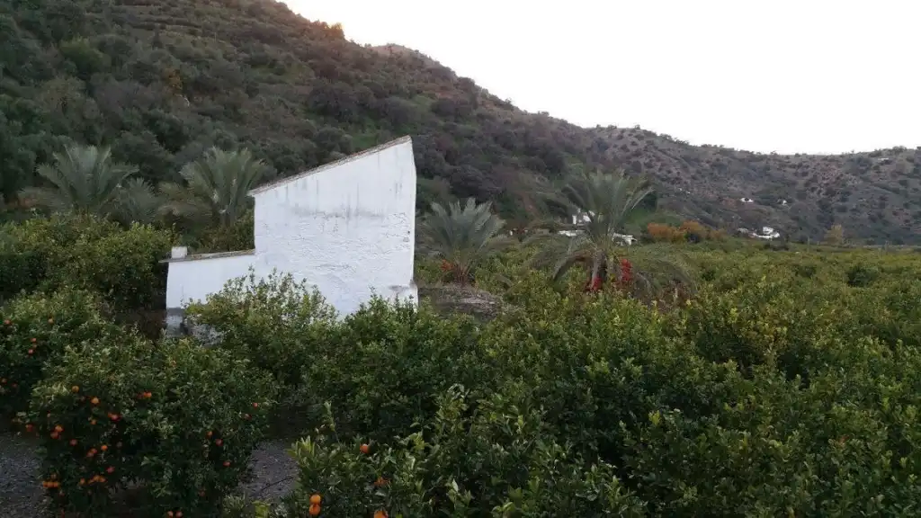 Villa à vendre à Gibralgalía, imagen 8