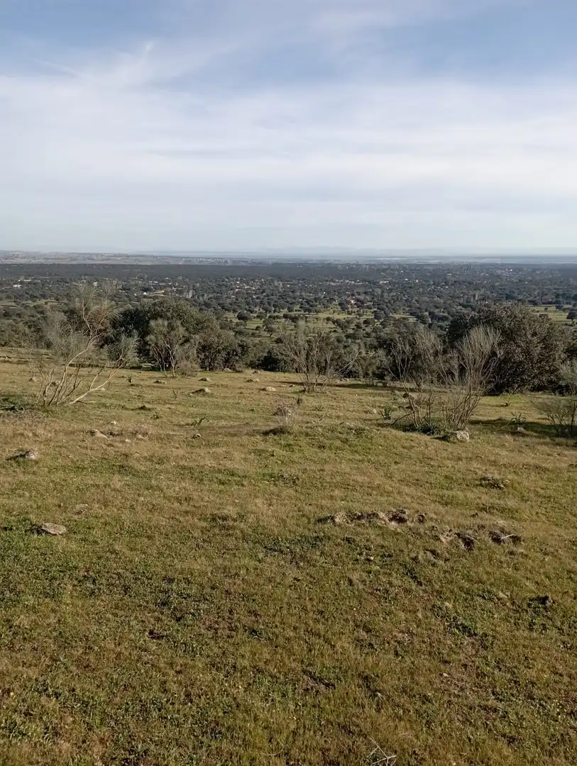 Terreni e lotti in vendita a San Román de los Montes, imagen 6