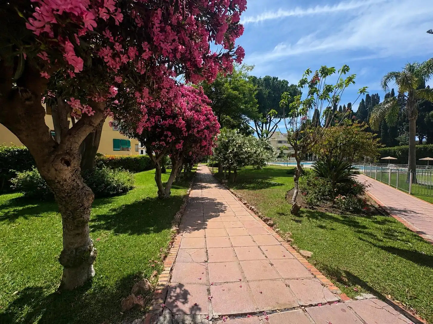 Apartamento con terraza en alquiler en La Carihuela - Los Nidos, imagen 17