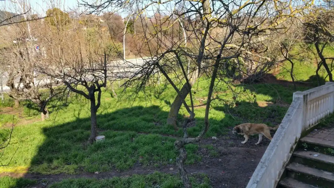 Jardín de Finca rústica en venta en Ponferrada con Calefacción, Jardín privado y Terraza