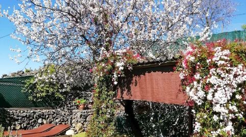 Foto 3 de Finca rústica en venta en Guía de Isora interior, Guía de Isora