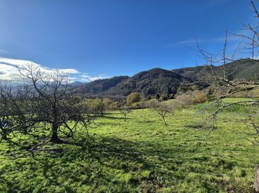 Terrenos y solares en venta en Candamo