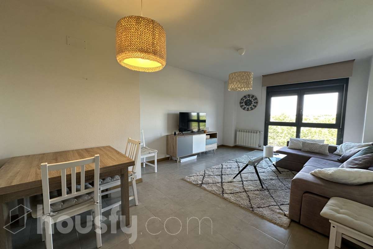 Living room of Flat to rent in  Madrid Capital  with Air Conditioner, Heating and Private garden