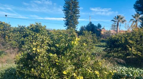 Foto 2 de Finca rústica en venda a Cv-940, 33, Los Montesinos, Alicante