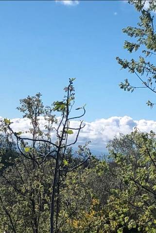 Terreno residencial en Venta en Cuacos de Yuste