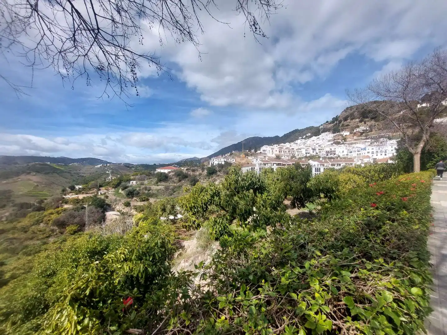 Finca rústica en venda a N/A, -1, Frigiliana