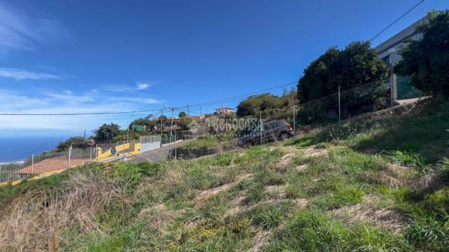 Terreno en Venta en Carr. la Ferruja en Palo Blanco