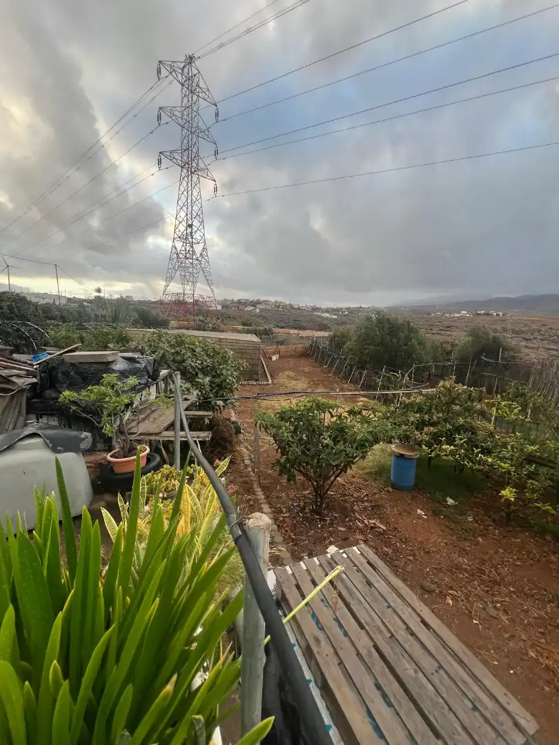 Rural land for sale in Ingenio pueblo, imagen 35