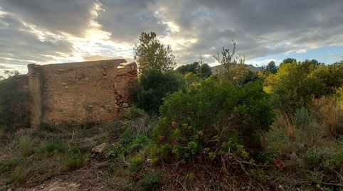 Photo 5 of Land for sale in Centre, Mont-roig del Camp