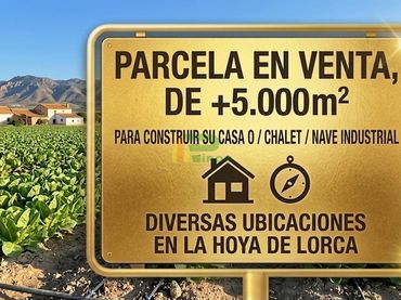 Terreni e lotti in vendita a Caracoleros