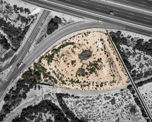 Land for sale in Crevillent