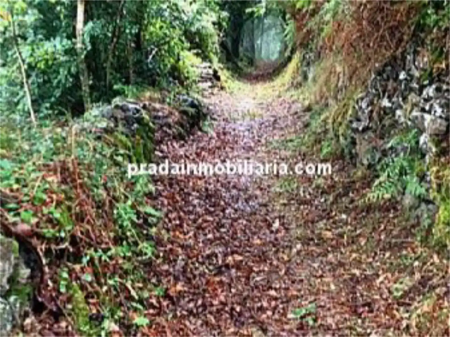 Piso en venta en Boal