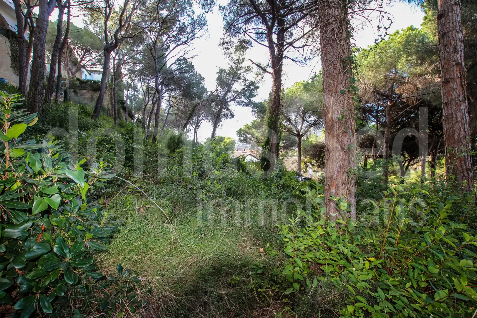 Residential for sale in Cabrils