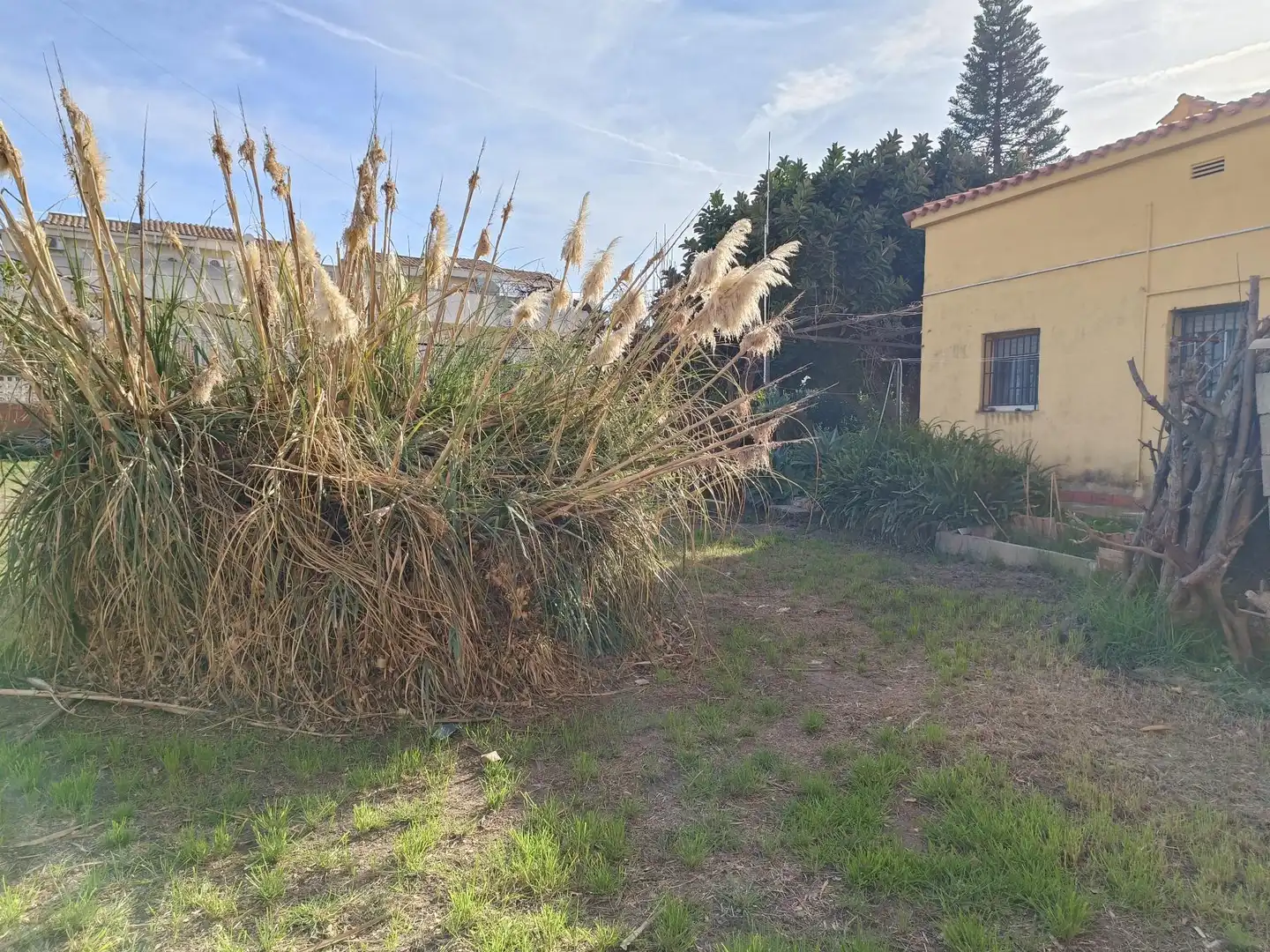 Haus zum Verkauf in Playa - Ben Afeli, imagen 33