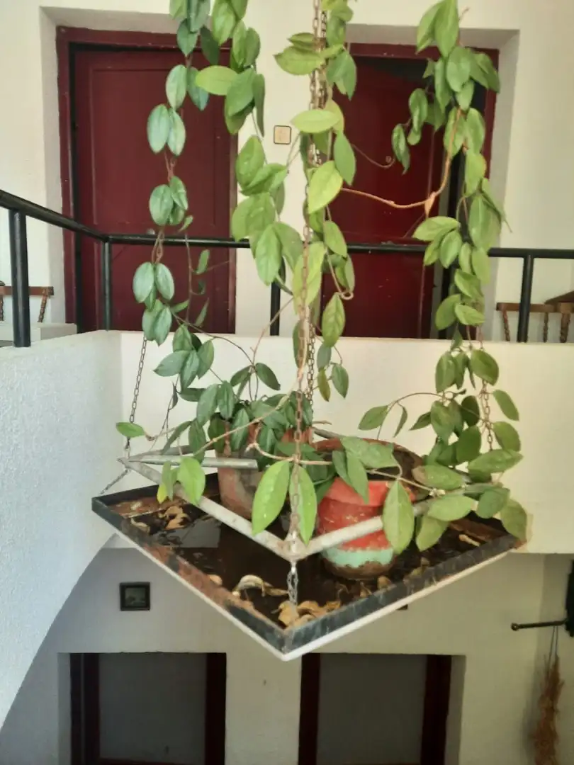 Garten von Country house zum Verkauf in La Puebla de Híjar mit Privatgarten