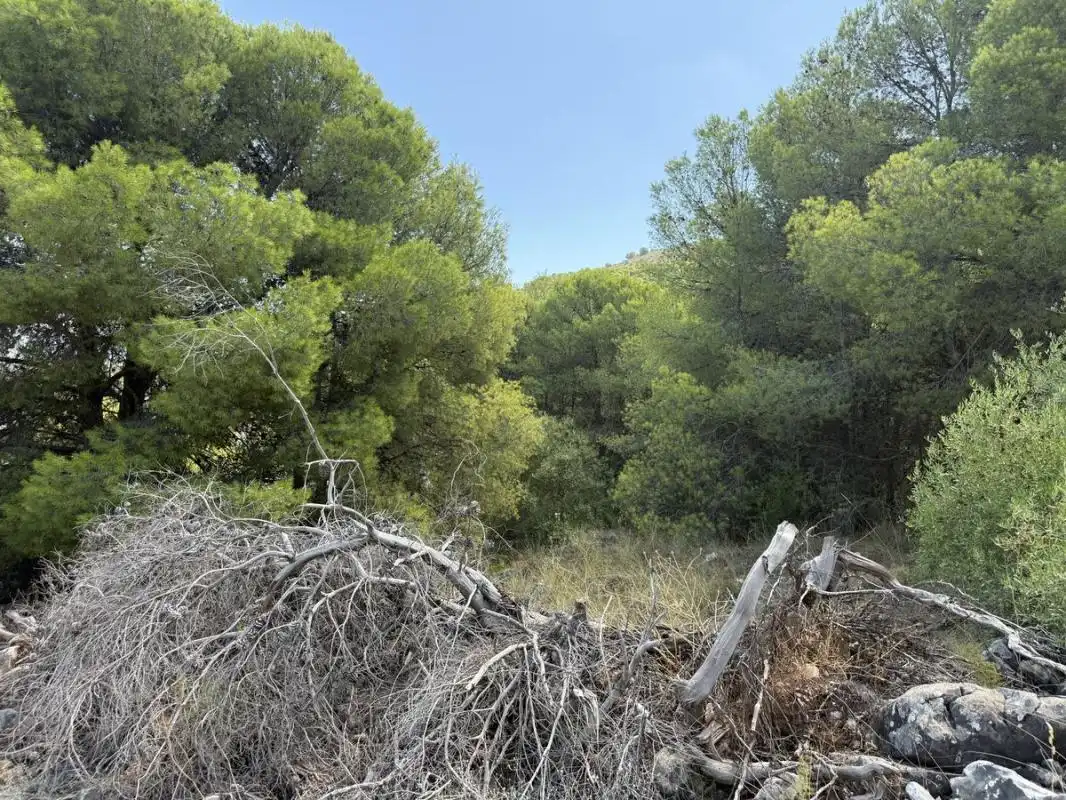 Residential land for sale in Calle Cañete la real, imagen 15