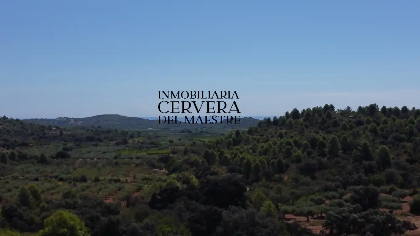 Terreno rustico in vendita a Cervera del Maestre, imagen 16