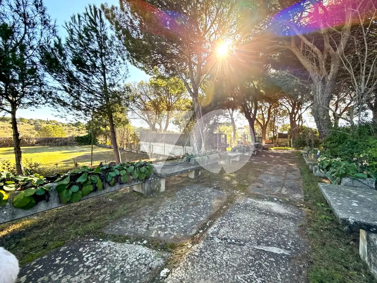 Vista exterior de Casa o chalet en venta en Ribatejada con Jardín privado, Terraza y Piscina