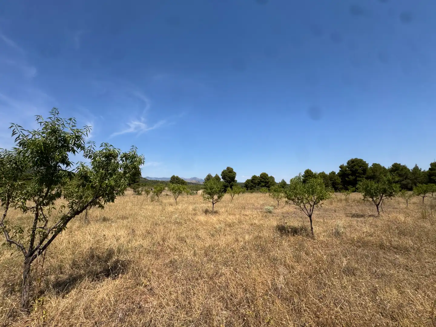Rural land for sale in N/A, imagen 60
