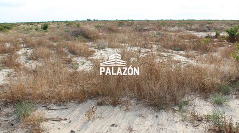 Finca rústica en venta en Albatera Alicante, immagine 2