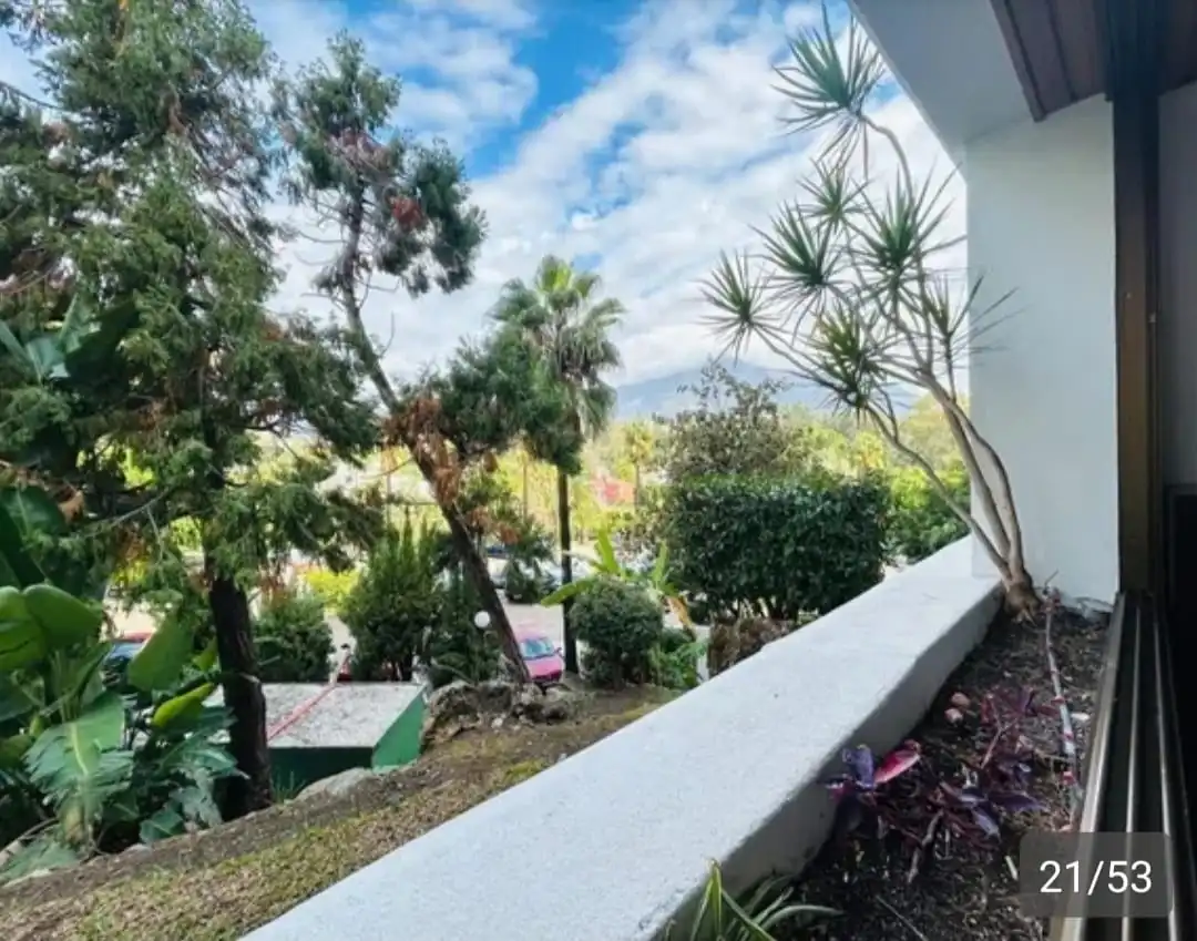 Piso con piscina en venta en Nueva Andalucía, imagen 50