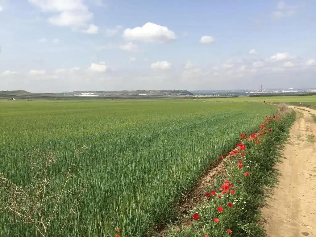 Residential for sale in Torres de la Alameda