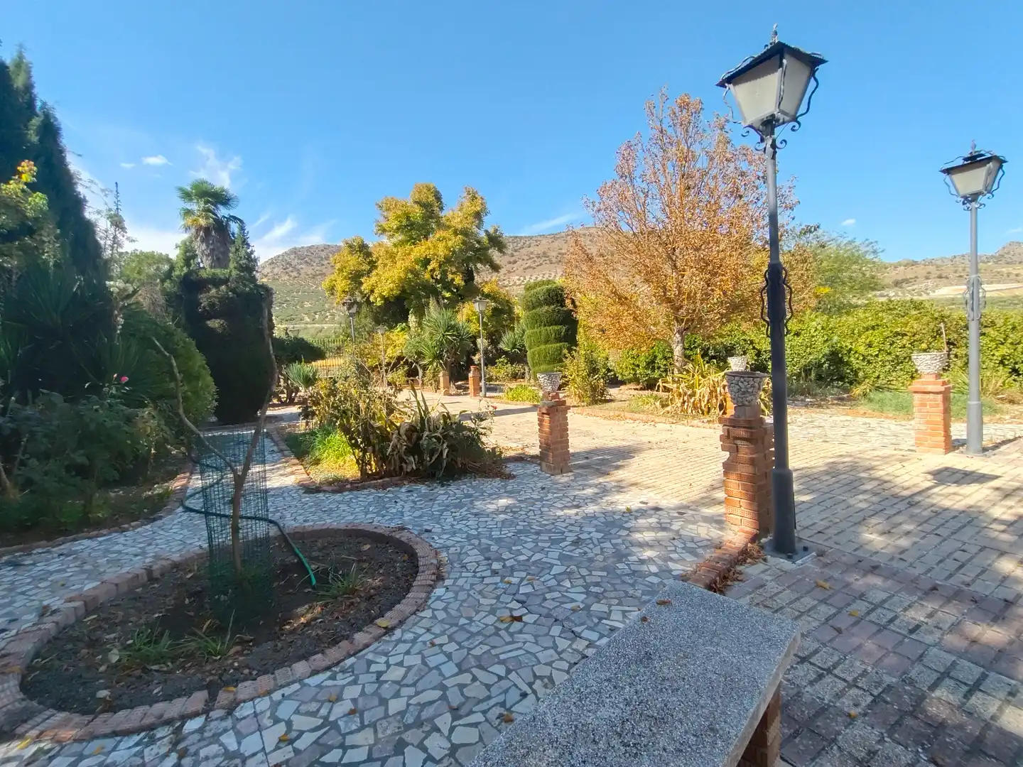 Exterior view of Country homes for sale in Priego de Córdoba  with Private garden, Terrace and Swimming Pool