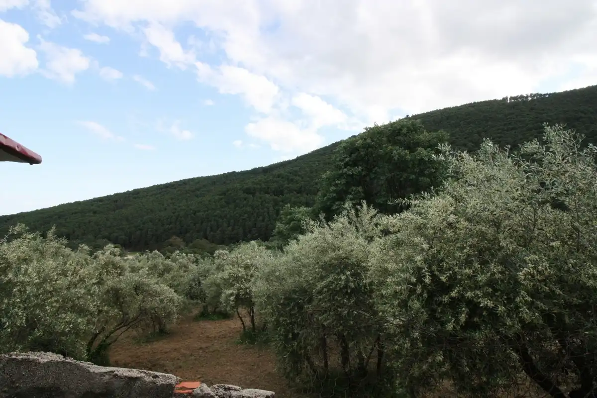 Jardí de Finca rústica en venda en Guisando amb Balcó
