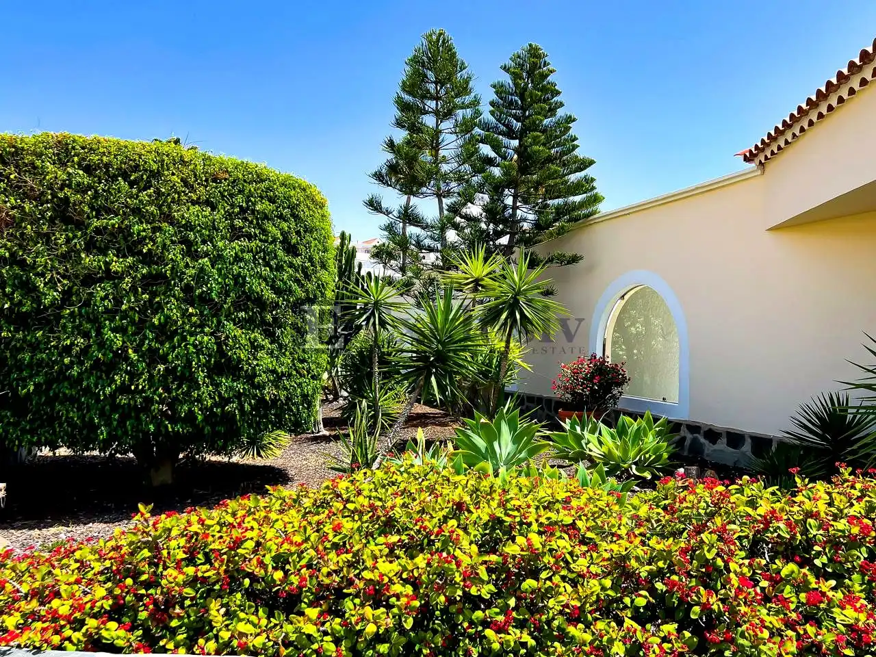 Piso con piscina en venta en Costa Adeje, imagen 20