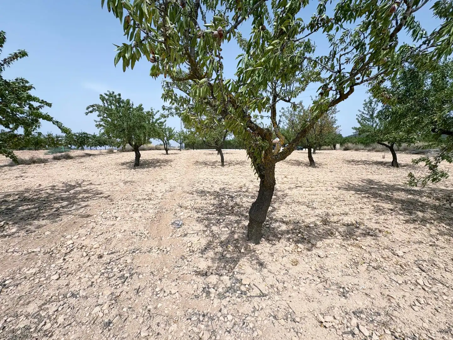 Country house for sale in Camino Ch Xirivell, imagen 17