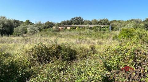 Photo 3 of Houses for sale in Cervera del Maestre, Castellón