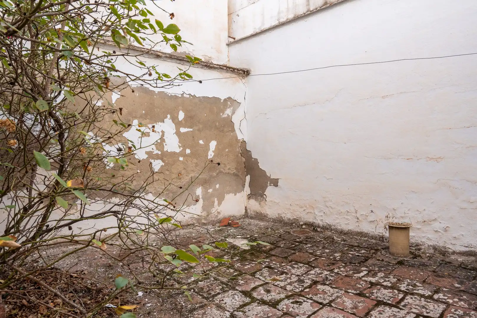 Jardín de Casa o chalet en venta en Antequera